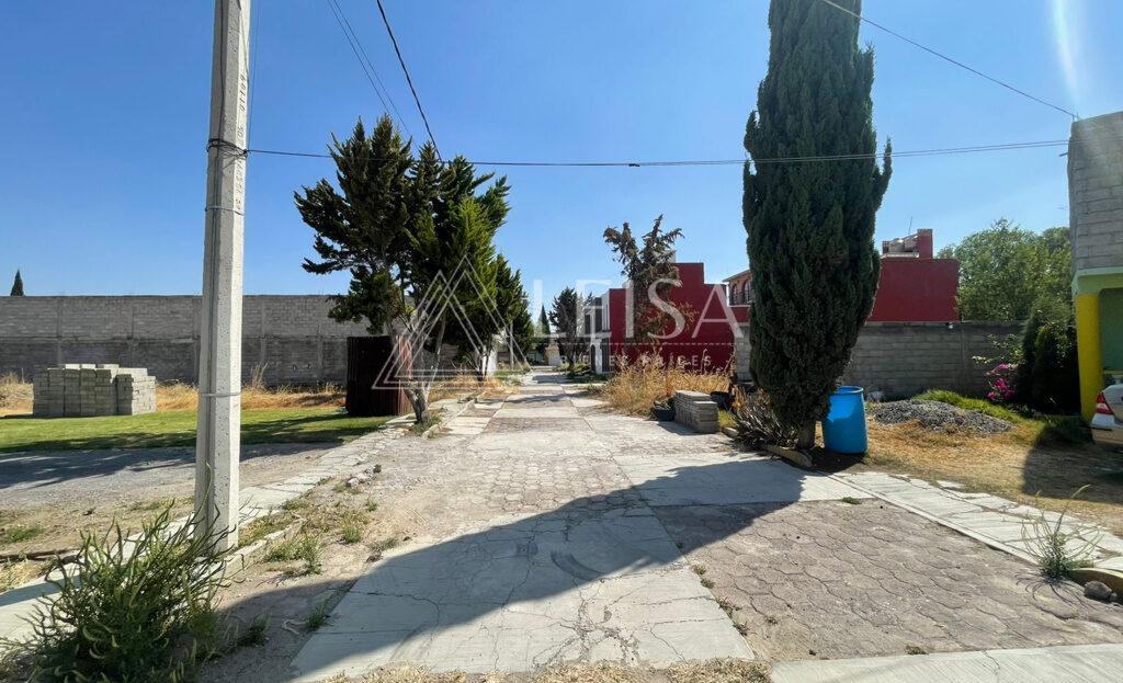 video image