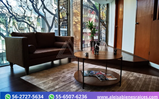 Oficinas en Polanco V Seccion CDMX – EN RENTA